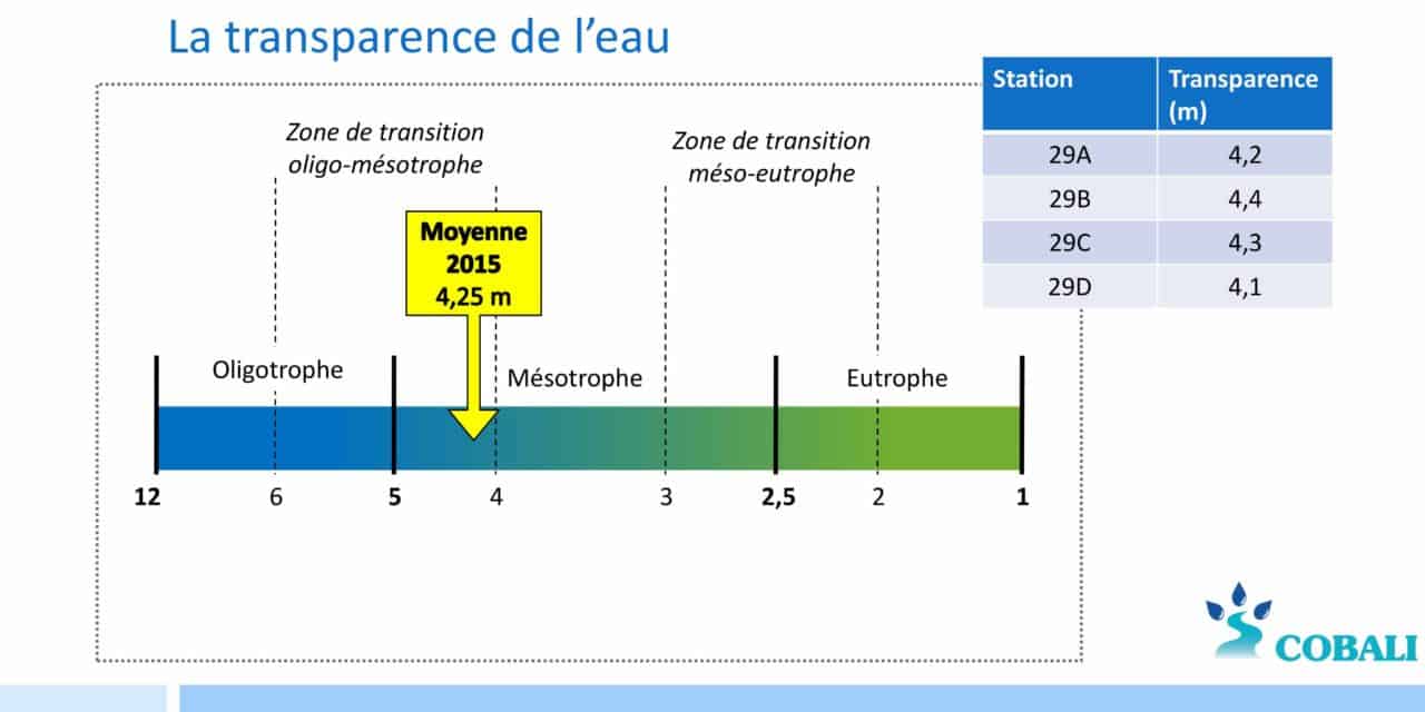 Les tests : importance et résultats