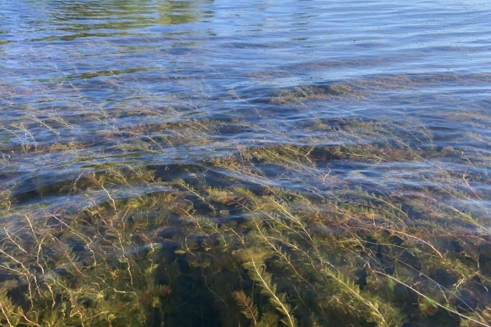 Des bouées à repositionner : vos suggestions